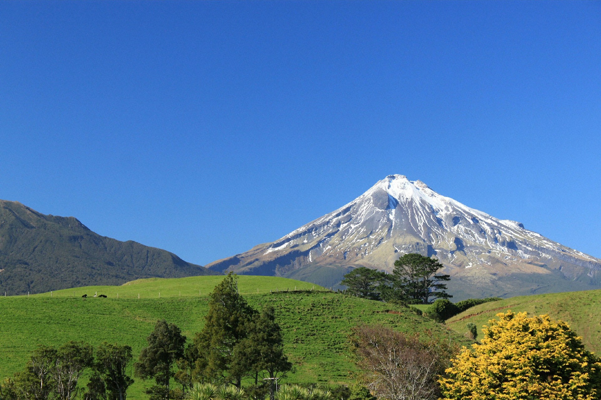 Travel Guide NZ